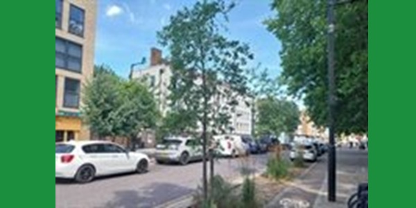 Tower Hamlets: five years as Tree City of the World 539_trees.jpg