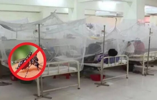 ডেঙ্গুতে আরও ৮ জনের মৃত্যু, হাসপাতালে ভর্তি ২০৩৬ 16983_IMG_0442.jpeg