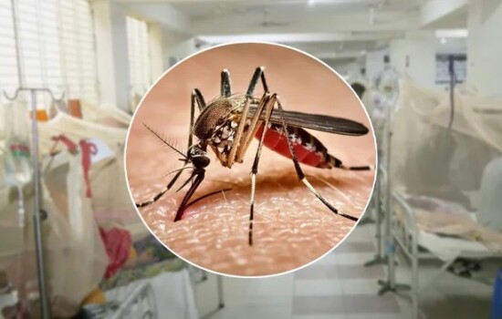 ডেঙ্গুতে একদিনে ১০ মৃত্যু, হাসপাতালে ভর্তি ১৯৪৩ 17286_IMG_1244.jpeg